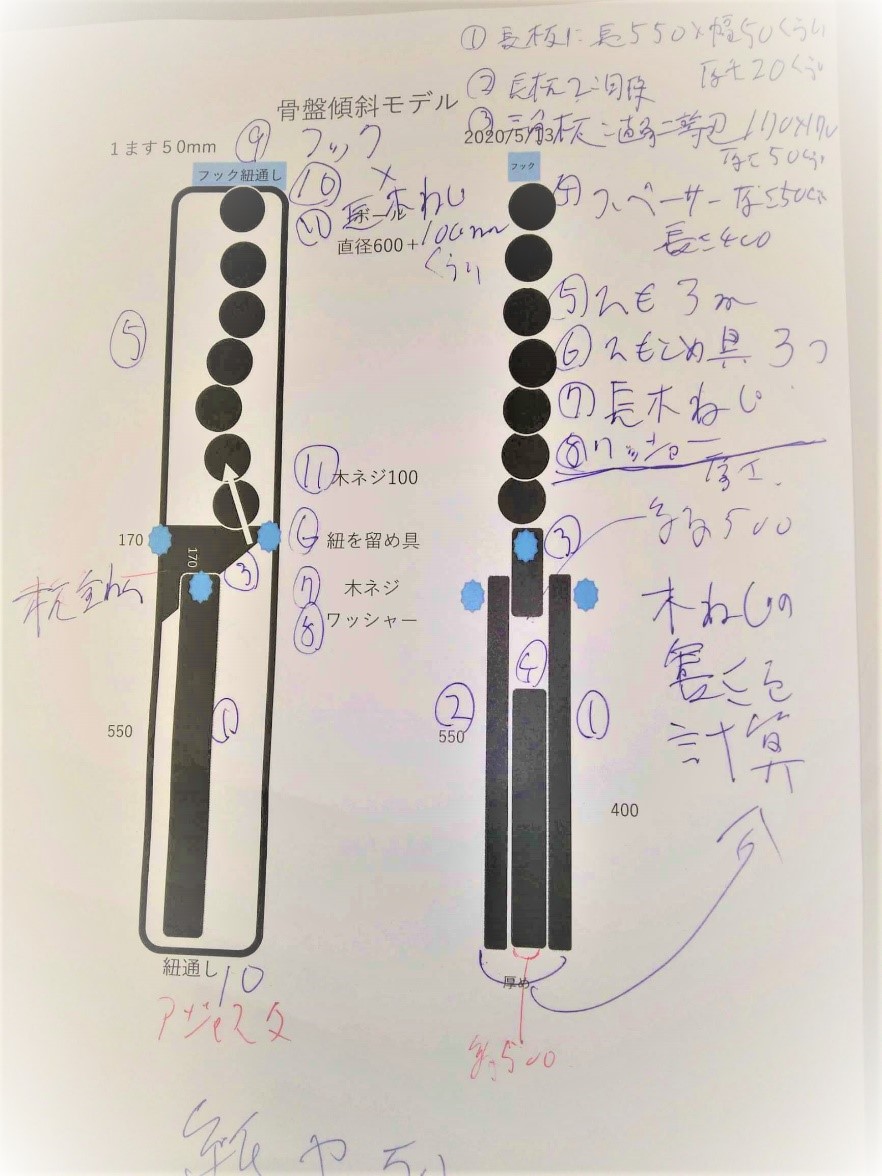 骨盤と脊柱の連動