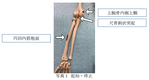 起始・停止